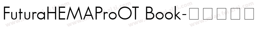 FuturaHEMAProOT Book字体转换